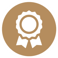 high quality award icon